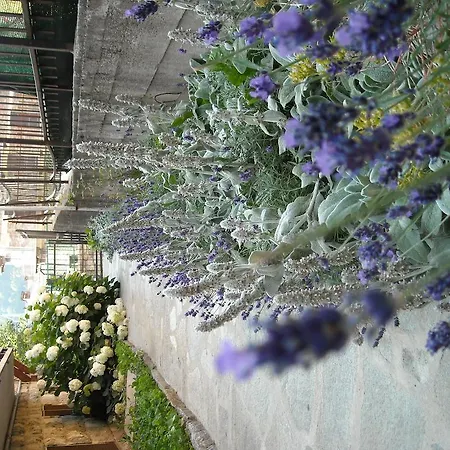 Hotel Tripoli La Margherita