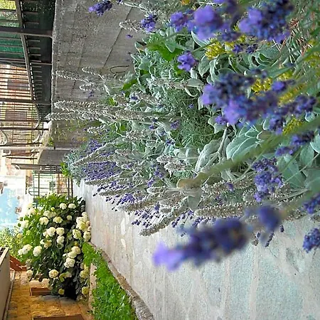 Hotel Tripoli La Margherita Limone Piemonte