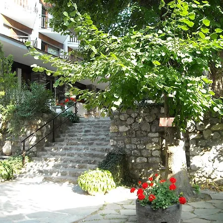 Tripoli La Margherita Limone Piemonte